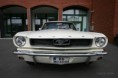 /album/obrazky-stangu-ke-stazeni/ford-mustang-66-fisheye-jpg/