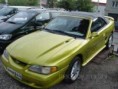 /album/obrazky-stangu-ke-stazeni/goldmustang-jpg/