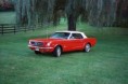 /album/obrazky-stangu-ke-stazeni/oldmustang-jpg/