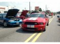/album/mustang-alley-2009-deaborn-michigan-/tre-jpg/